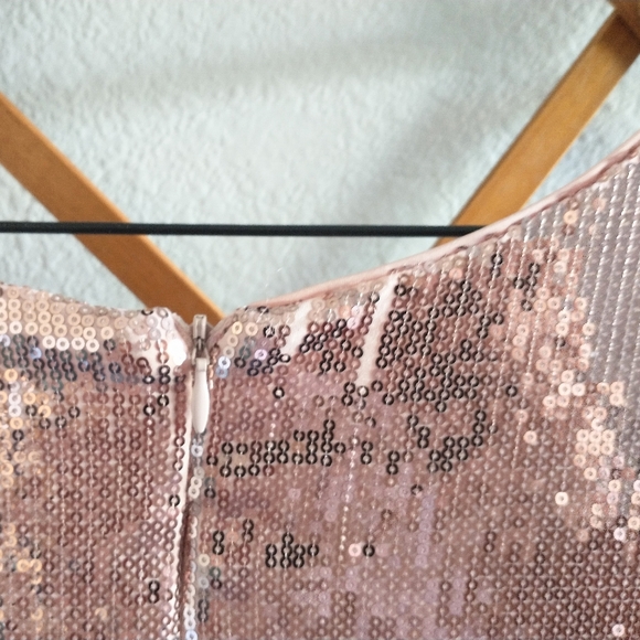 F21 Rose Gold Liquid Sequin Fit & Flare Dress - Picture 4 of 7